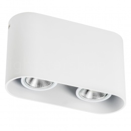 Накладной светильник Lightstar RULLO 2xHP16 214866