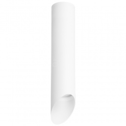 Накладной светильник Lightstar RULLO HP16 R49636