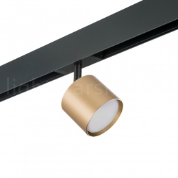 Светильник трековый с однофазным адаптером PRO Lightstar RULLO GX53 PRO3490