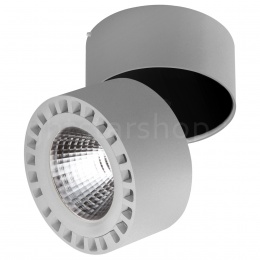 Накладной светильник Lightstar FORTE IP65 LED 35W 381393