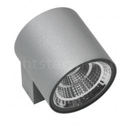 Настенный уличный светильник Lightstar PARO LED 10W 360694