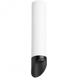 Накладной светильник Lightstar RULLO HP16 R49637