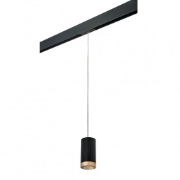 Подвесной трековый светильник с однофазным адаптером PRO Lightstar RULLO HP16 PRORP43740