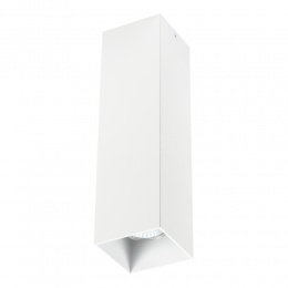 Накладной светильник Lightstar RULLO 216596