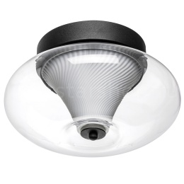Настенно-потолочный светильник Lightstar PALERMO LED 8W 612017